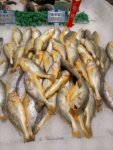 买了好多八爪鱼,老公去钓鱼了,我在家包饺子,好看不好看的反正一个没