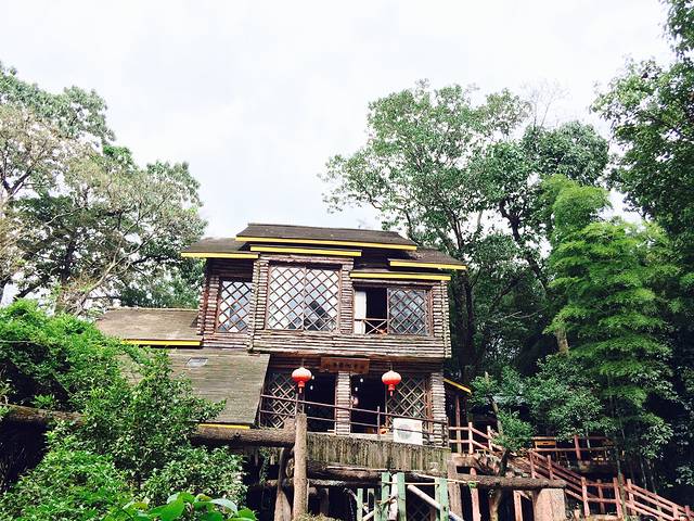 大奇山国家森林公园