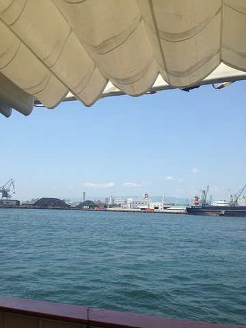 2017周游券没有儿童票,所以儿童我是单次购买