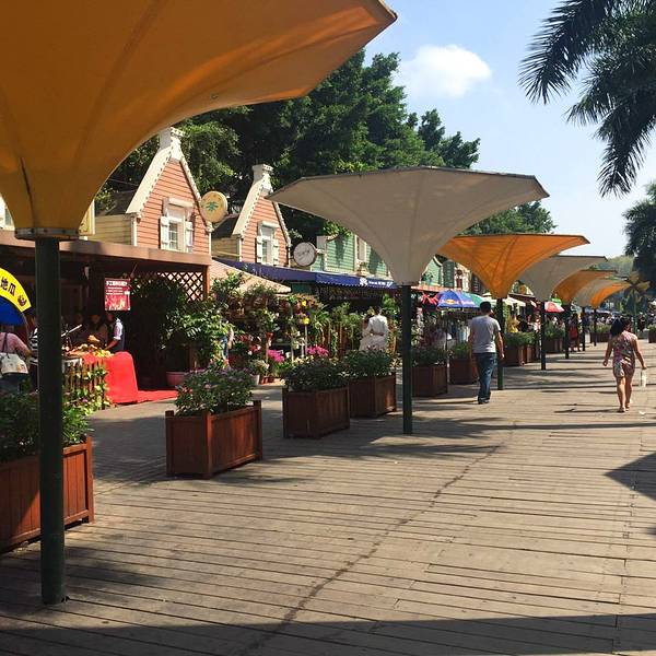 2019荷兰花卉小镇门票,深圳荷兰花卉小镇游玩