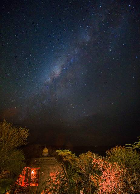 去坦桑尼亚,看非洲大草原最原始的动物世界