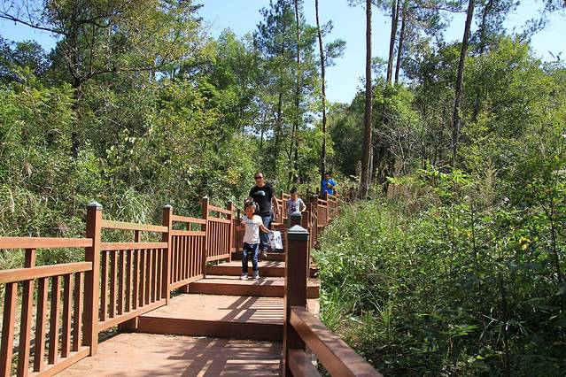 灵龙峡大拐弯生态旅游区