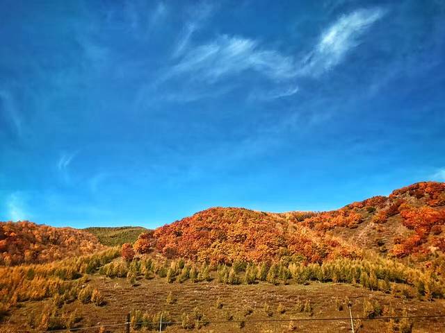 御道口草原森林风景区