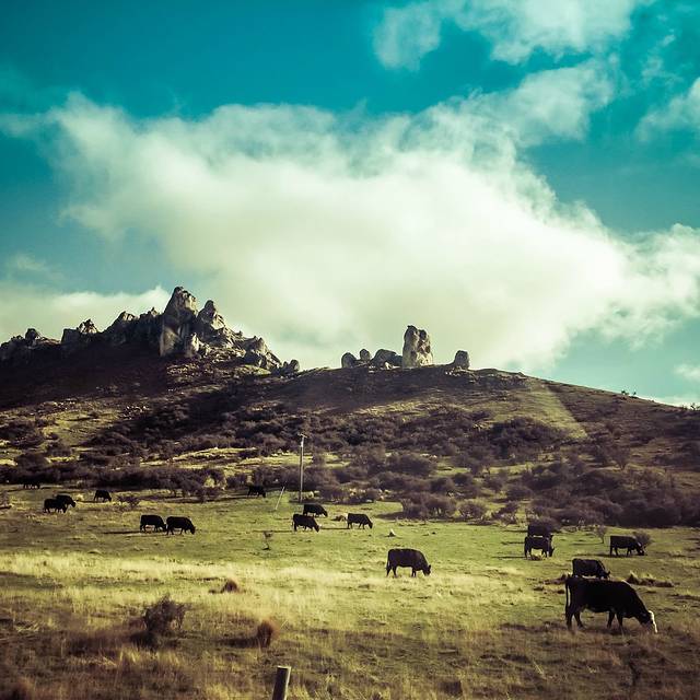 亚瑟隘口国家公园