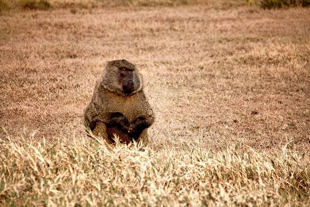 地狱之门国家公园