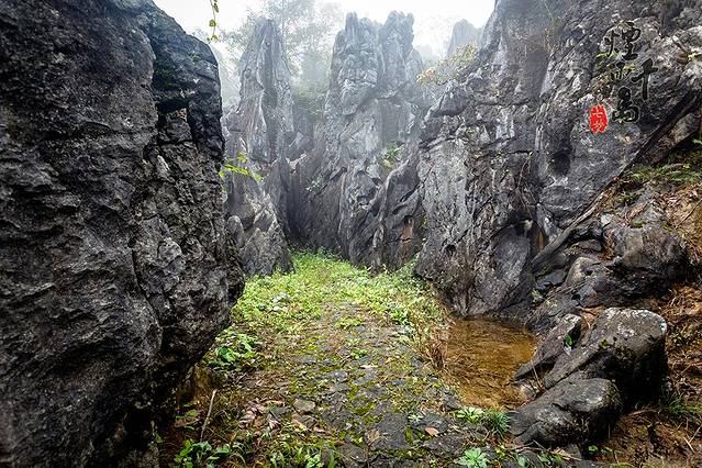 千岛湖石林景区