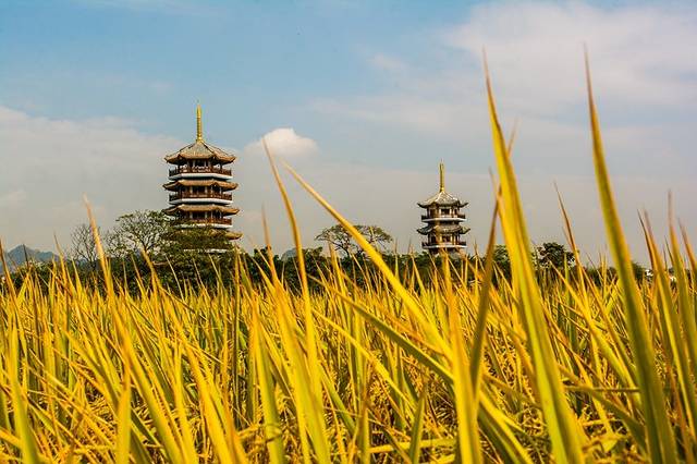 五彩田园农业嘉年华