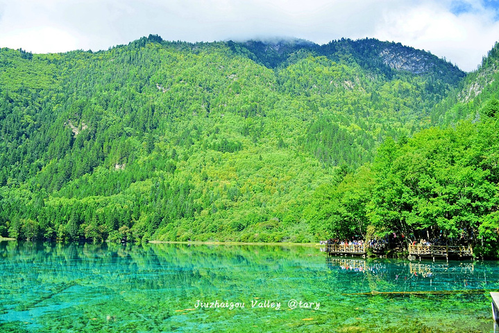 "似无数块宝石镶嵌，在阳光的照射下彩波粼粼，绮丽无比，素有“九寨精华”之称，是旅行团和散客都必去的景点_九寨沟-五花海"的评论图片