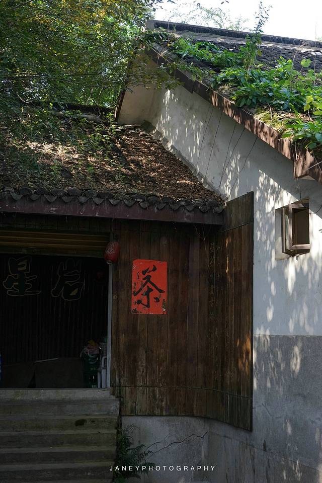 普照禅寺