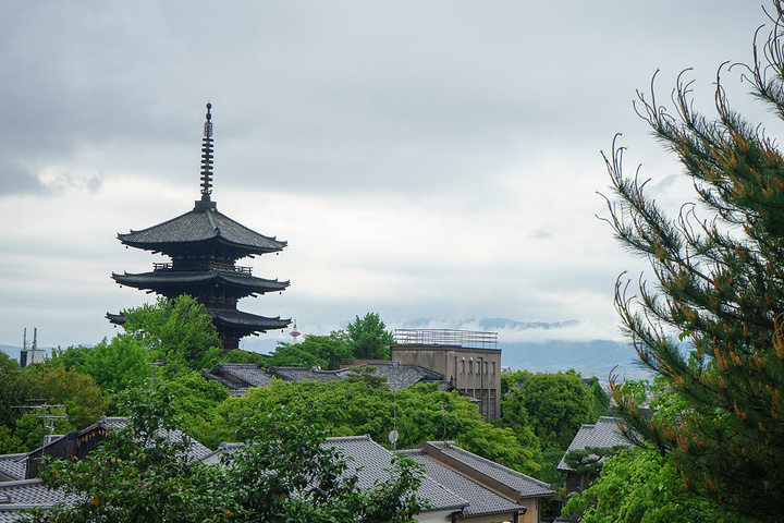 银川高台寺图片