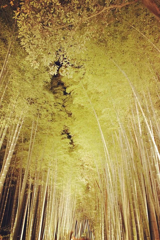 YUDOFU RESTAURANT "SAGANO"