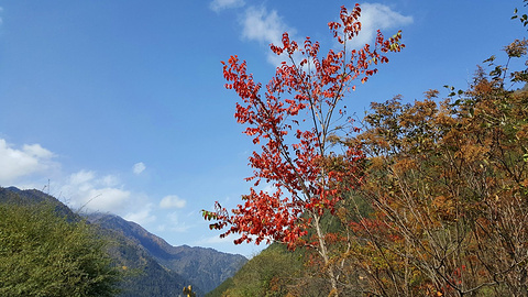 树正沟旅游景点攻略图