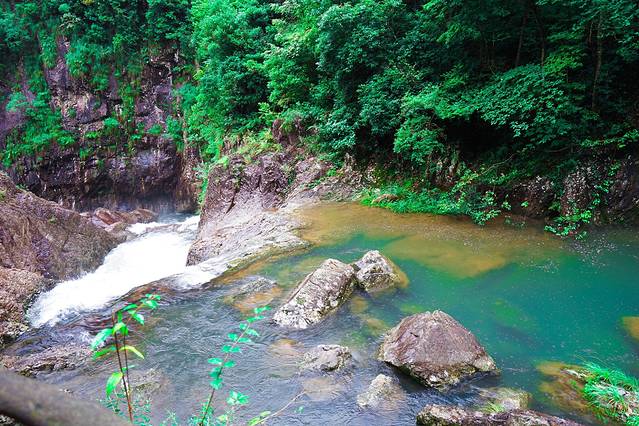龙湾潭国家森林公园