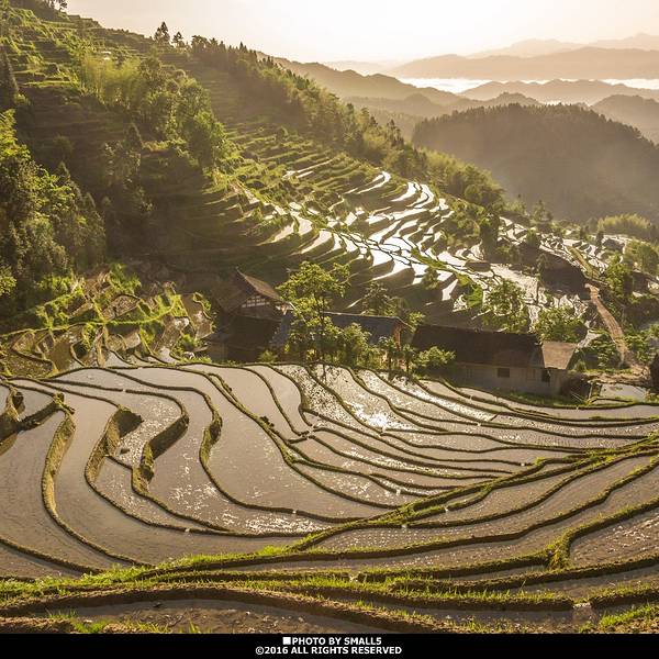 现在可以去新化吗 81590596a78404b5.jpg_600x600x70_e2ea3f6c.jpg