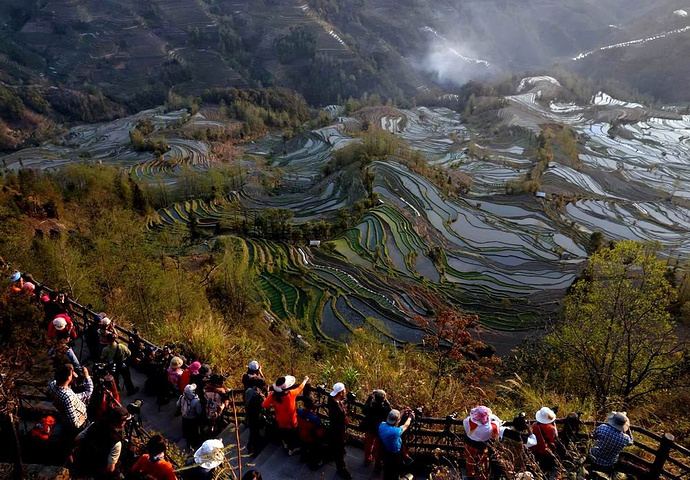 "这里是元阳山势最险峻、气势最恢宏壮观的梯田，堪称“大地雕塑”的典范。摄于元阳老虎嘴梯田景区_老虎嘴景区"的评论图片