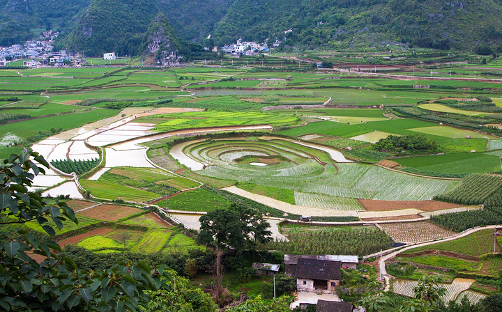 "从峡谷出来前往万峰林，17:30到达万峰林开始乘景区电瓶车沿万峰林半山腰景区的观光道开始体会“..._万峰林景区"的评论图片