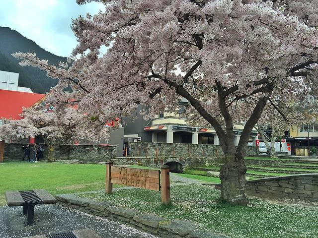 BONZ顶级羊毛制品店