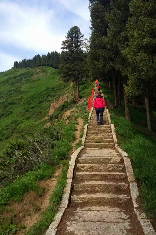 巩乃斯森林公园