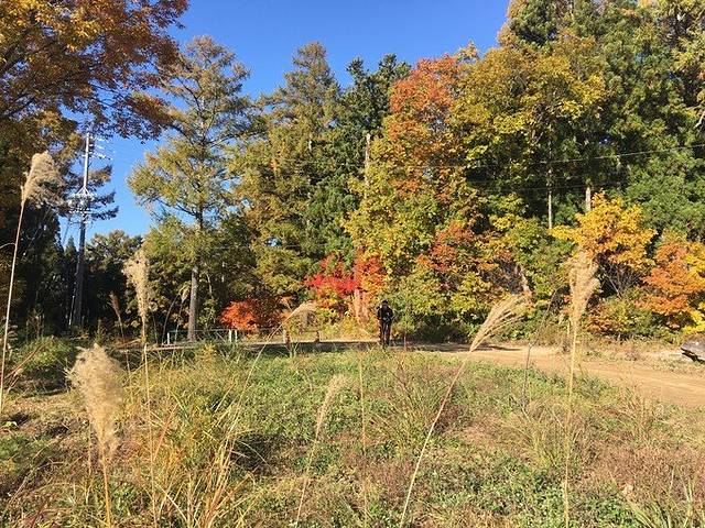 地狱谷野猿公苑