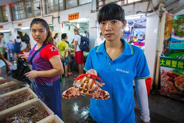 说走就走的旅行,周末带娃去三亚