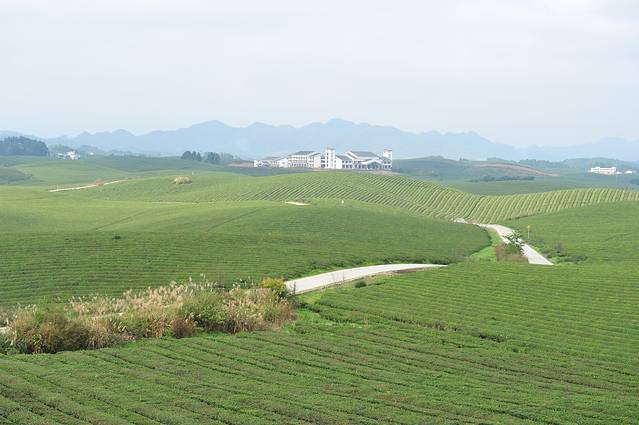 中国茶海景区(湄潭茶海)