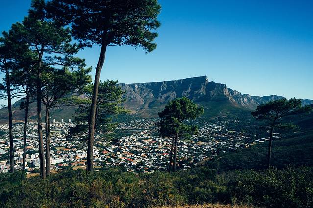 Lion's Head & Signal Hill
