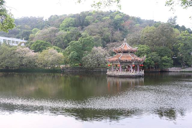 吃在潮汕,高能美食全攻略