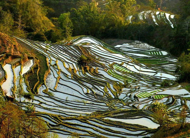 "这里是元阳山势最险峻、气势最恢宏壮观的梯田，堪称“大地雕塑”的典范。摄于元阳老虎嘴梯田景区_老虎嘴景区"的评论图片