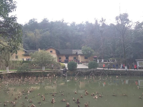 毛泽东故居旅游景点攻略图