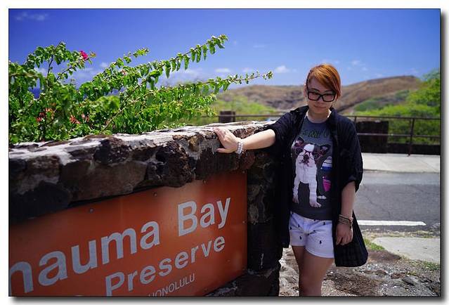 阳光和海洋,湛蓝の夏威夷