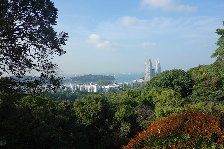 22在山顶上遥望四周 景色十分美丽 面向新加坡海港的花芭山 花芭山 评论 去哪儿攻略 22在山顶上遥望四周 景色十分美丽 面向新加坡海港的花芭山 花芭山 评论 去哪儿攻略