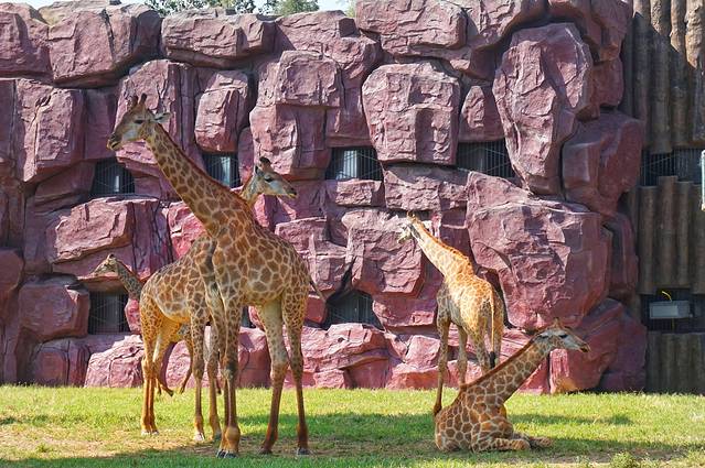 济南野生动物世界