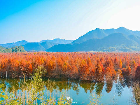 青龙湾生态旅游区旅游景点图片