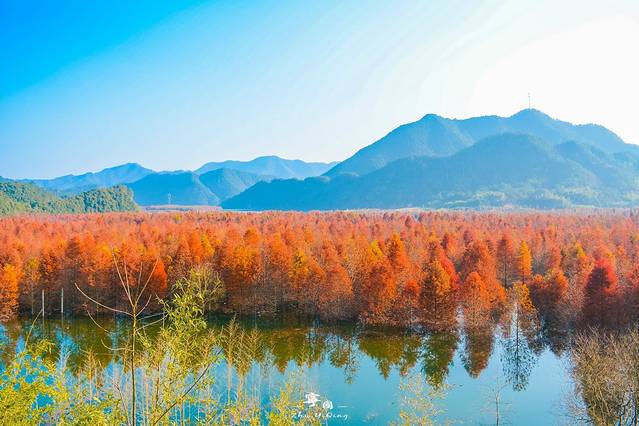 青龙湾生态旅游区