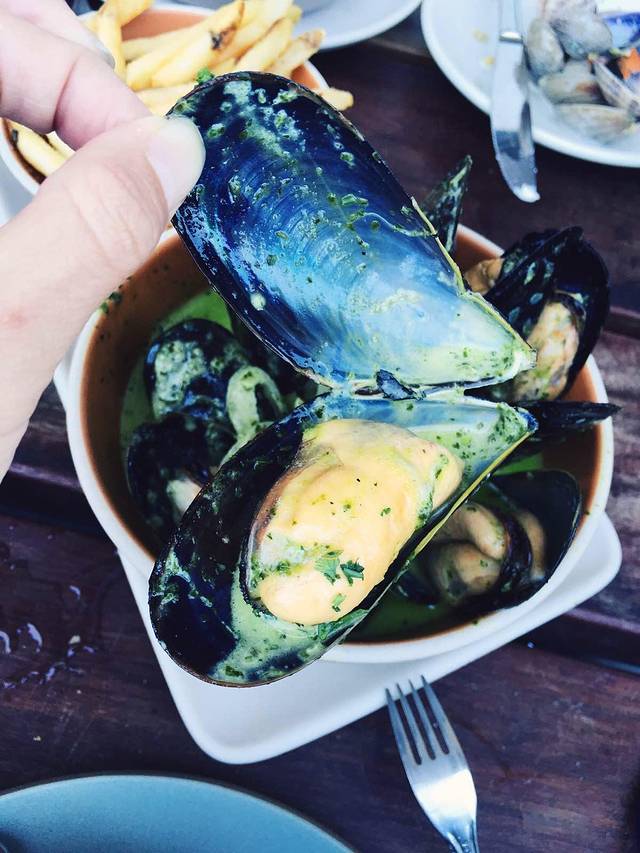 Hog Island Oyster Co