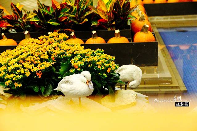 北方公园中心商场