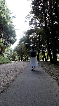 21橿原神宫 旅游攻略 门票 地址 问答 游记点评 橿原市旅游旅游景点推荐 去哪儿攻略 21橿原神宫 旅游攻略 门票 地址 问答 游记点评 橿原市旅游旅游景点推荐 去哪儿攻略