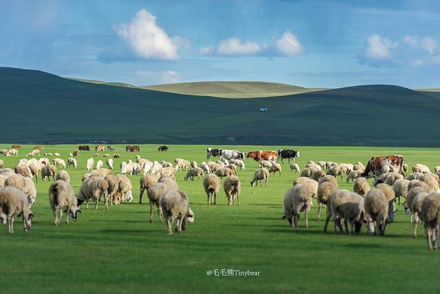 金帐汗旅游部落