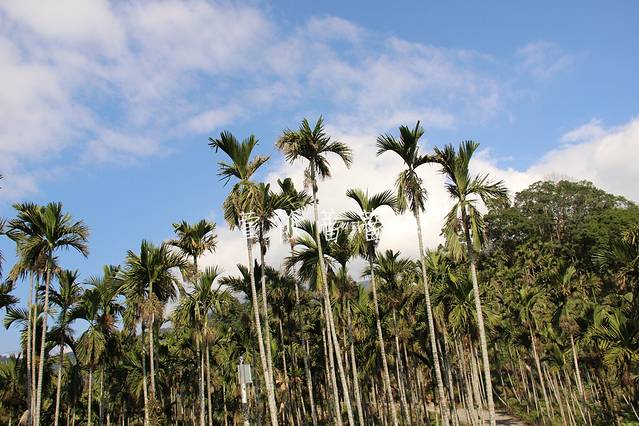 万荣明利飞行场