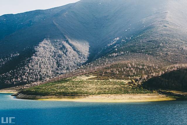 察汗河森林公园