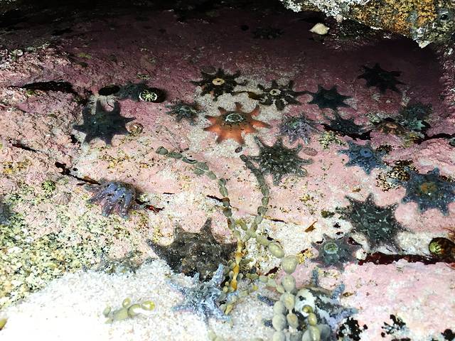 菲欣纳国家公园