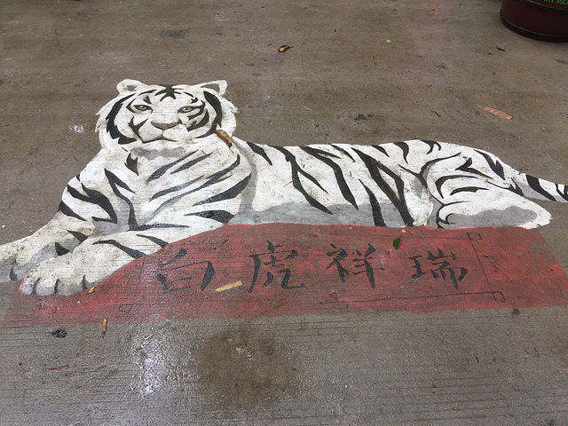 2017今天我们要游玩长隆野生动物世界,下雨天