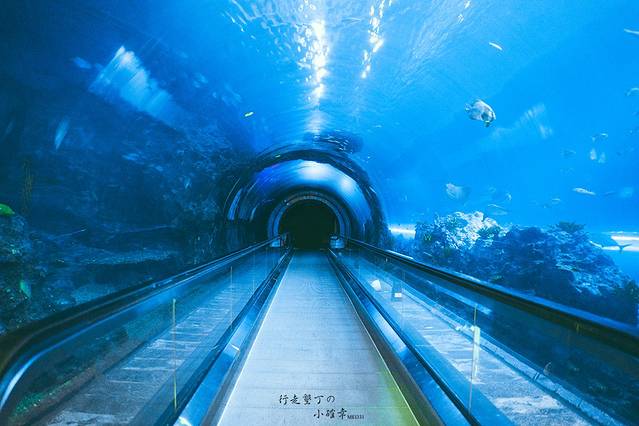 台湾海洋生物博物馆