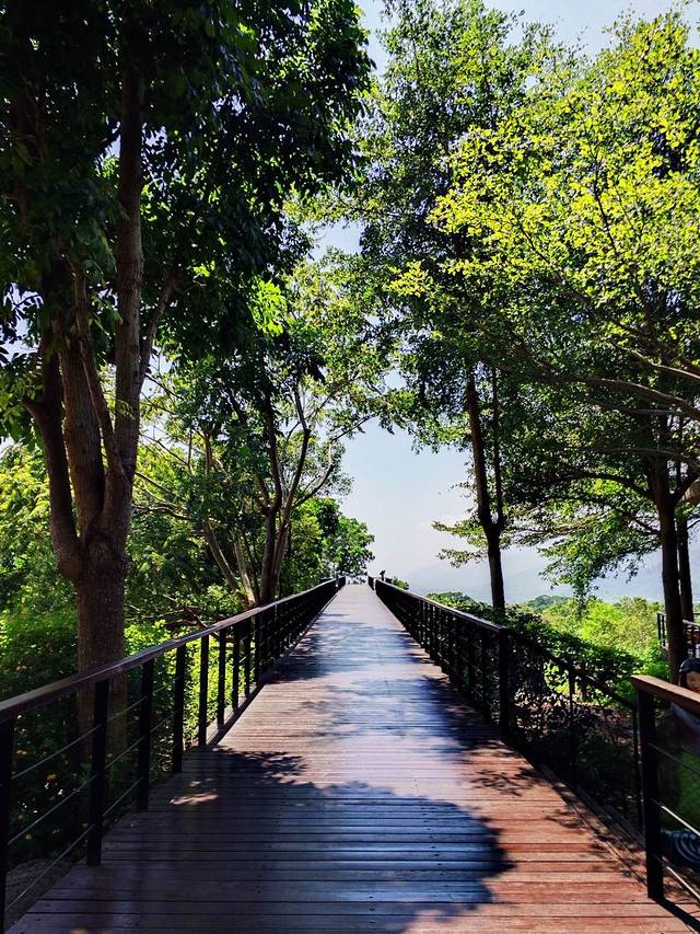 台东原生应用植物园