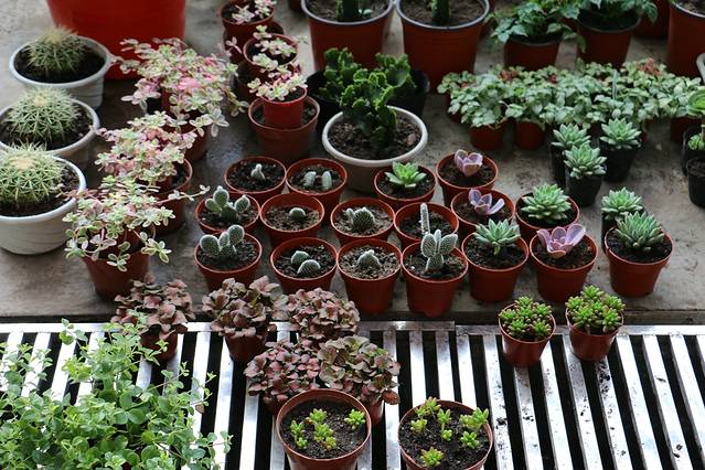 北大荒唐都生态园