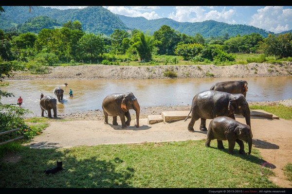 最好自备拖鞋,方便给大象洗澡的时候可以更近距离的亲近大象,否则只能