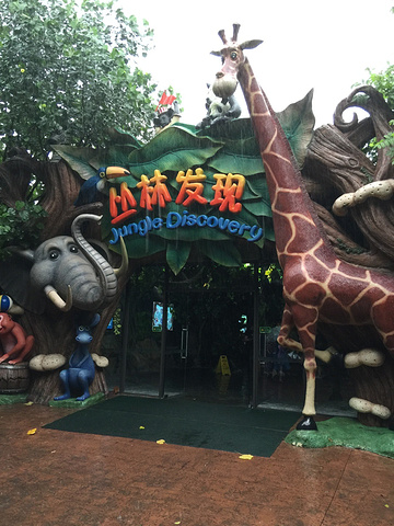 2017今天我们要游玩长隆野生动物世界,下雨天