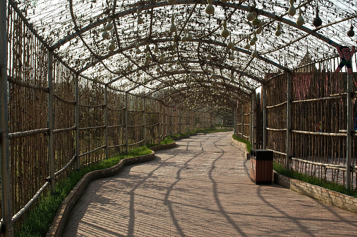 参观各种散养的野生动物_北京野生动物园"的评论图片