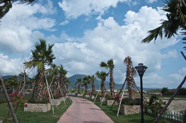 三亚亚龙湾国际玫瑰谷