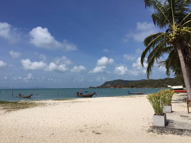 苏梅岛丛林飞跃